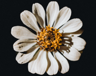 偷偷伤感的签名心痛 暗含伤感的签名短句 偷偷伤感的签名心痛 暗含伤感的签名短句